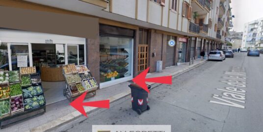 VENDE – VIALE DELLE MIMOSE